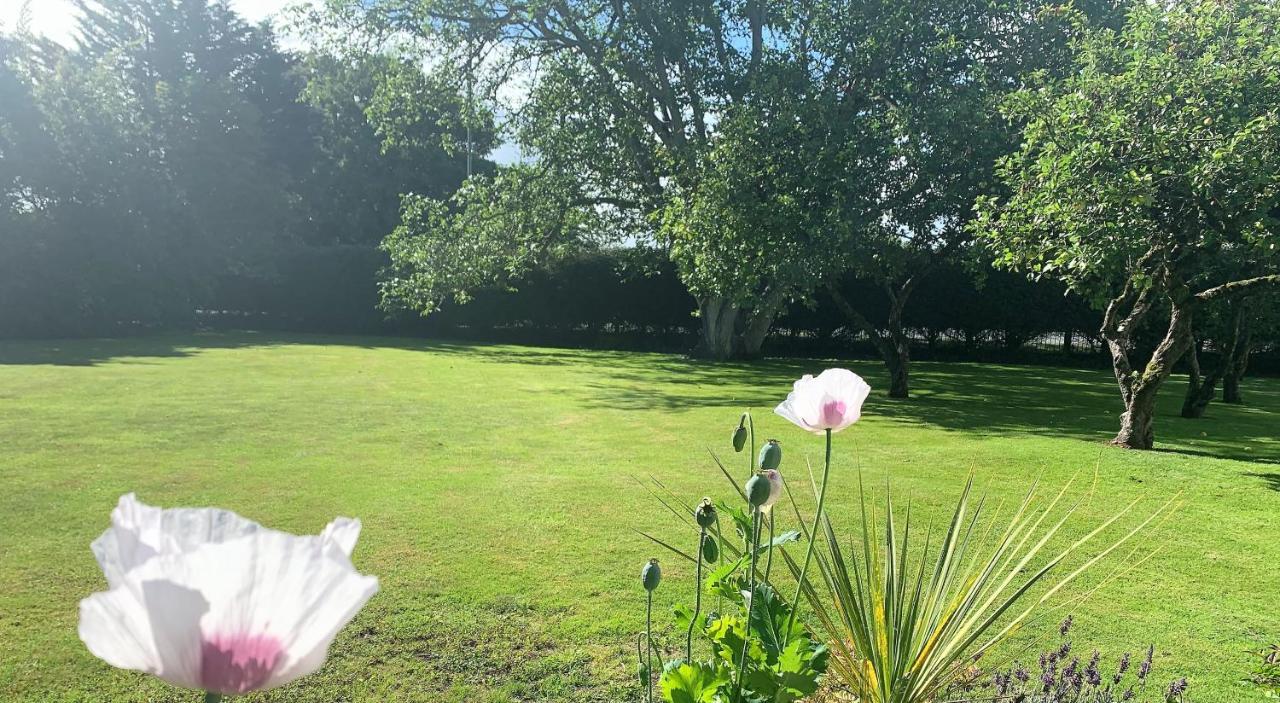 Hope Orchard Bed and Breakfast Τσέλτενχαμ Εξωτερικό φωτογραφία